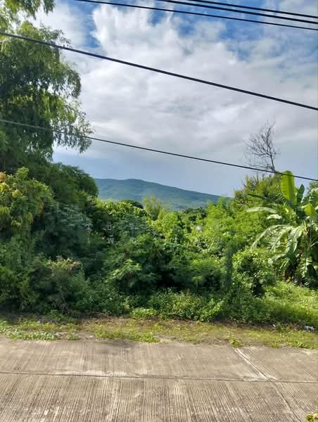 Land with frontage on the Mae Ping River Chaingmai 11 Rai, Lamphun, Nong Pla Sawai, Ban Hong, Lamphun, , 18,172 sqm, Land For Sale, by วชิราภรณ์ เพ็ชรไชย, 500400119 - DDproperty.com