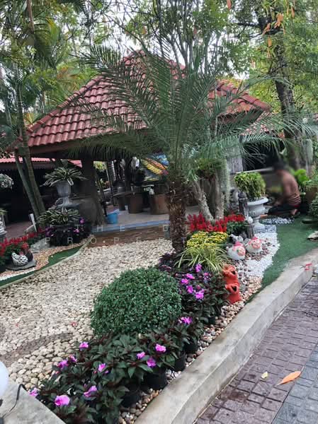 โรงแรมพาน เชียงราย, Chiang Rai, Muang Kham, Phan, Chiang Rai, , 200 sqm, Business For Sale, by The Best Property ไนล์, 500400201 - DDproperty.com
