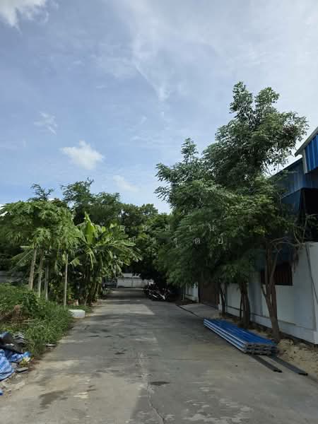 ขายที่ดินในซอยศรีสมาน 5 ปากเกร็ด นนทบุรี, นนทบุรี, ศรีสมาน, บ้านใหม่, ปากเกร็ด, นนทบุรี, 1,612 ตร.ม., ที่ดิน ขาย, โดย ณัฐธยาน์ ไชยวรุตย์, 500400320 - DDproperty.com