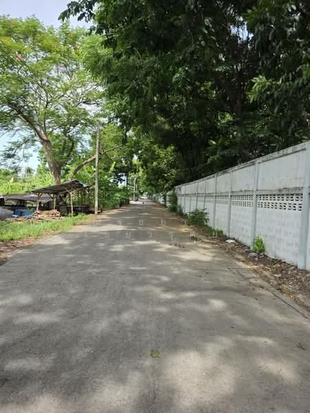 ขายที่ดินในซอยศรีสมาน 5 ปากเกร็ด นนทบุรี, นนทบุรี, ศรีสมาน, บ้านใหม่, ปากเกร็ด, นนทบุรี, 1,612 ตร.ม., ที่ดิน ขาย, โดย ณัฐธยาน์ ไชยวรุตย์, 500400320 - DDproperty.com