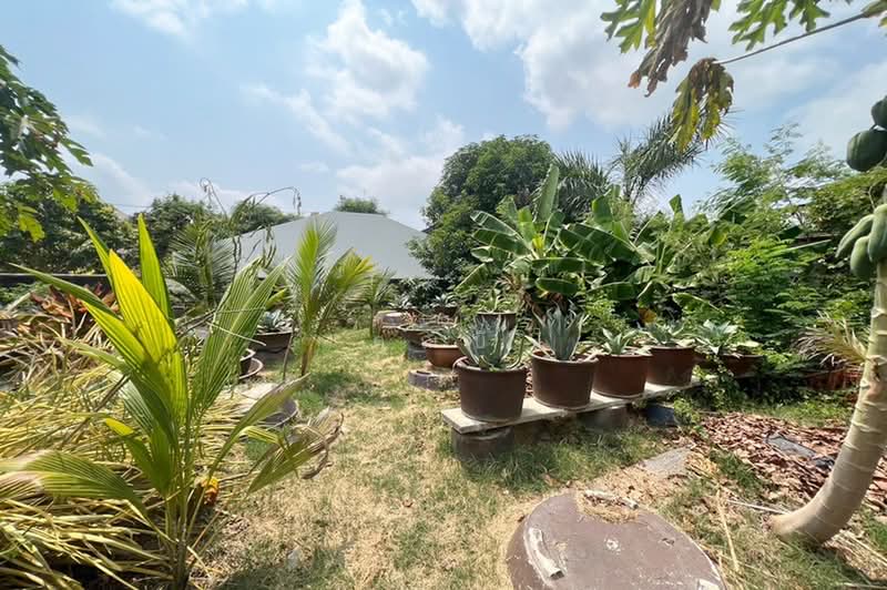 ขายที่ดินแปลงสวย 191 ตรว. ถมแล้ว ซอยอ่อนนุช 14 - พัฒนาการ ใกล้ BTS, กรุงเทพ, ถนนสุขุมวิท 77, สวนหลวง, กรุงเทพ, 764 ตร.ม., Land ขาย, โดย คุณบี, 500400336 - DDproperty.com