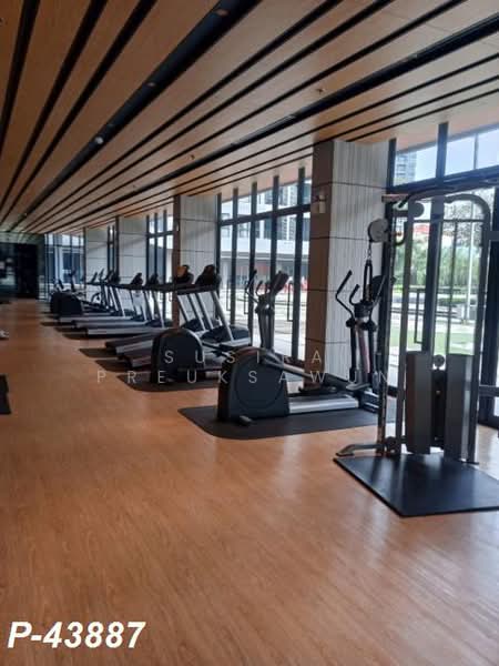 IDEO O2 Bangna, Bangkok, 195 Sanphawut Road, Bang Na Tai, Bang Na, Bangkok, 1 Bedroom, 32 sqm, Condo For Rent, by Susira Prueksawun, 500400359 - DDproperty.com
