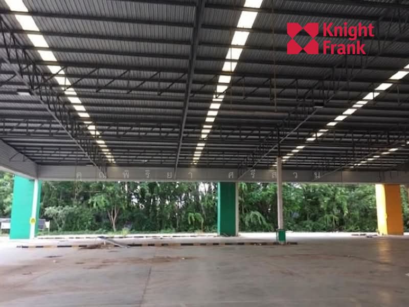 ขายที่ดินพร้อมอาคาร ถนนบุรีรัมย์-ลำปลายมาศ อำเภอเมืองบุรีรัมย์ จังหวัดบุรีรัมย์ 31000, Buri Ram, บุรีรัมย์-ลำปลายมาศ, Ban Bua, Muang Buri Ram, Buri Ram, , 36,000 sqm, Warehouse/Factory For Sale, by คุณพิริยา ศรีส่วน, 500400604 - DDproperty.com