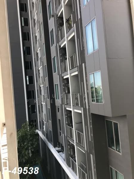CEIL by Sansiri : ซีล บาย แสนสิริ, กรุงเทพ, 11 ซอยเอกมัย 12 ถนนสุขุมวิท 63, คลองตันเหนือ, วัฒนา, กรุงเทพ, 30 ตร.ม., คอนโด ให้เช่า, โดย Susira Prueksawun, 500400672 - DDproperty.com