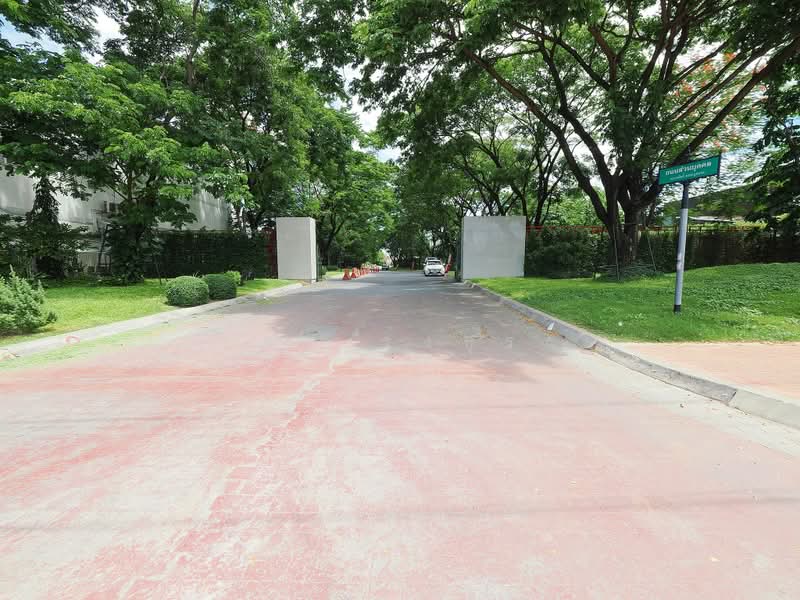 ขายราคาพิเศษ ทาวน์เฮ้าส์ 3.5 ชั้น ม.สรานนท์ ขนาด 18 ตร.ว. 4 ห้องนอน 3 ห้องน้ำ บ้านสวยมาก ฟังชั่นบ้าน, นนทบุรี, ติวานนท์-ปากเกร็ด, ปากเกร็ด, นนทบุรี, 180 ตร.ม., ทาวน์เฮ้าส์ ขาย, โดย วิภา รุ่งธุระ, 500400716 - DDproperty.com