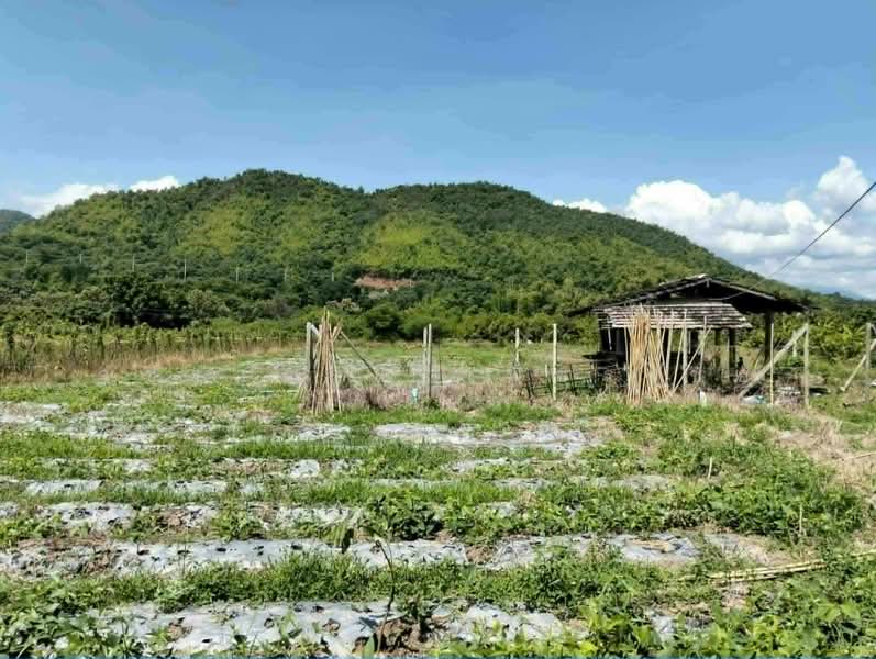 Land for Sale: 6 Rai+ Mountain Views & Mae Klang Riverfront, Chiang Mai, Sop Tia, Chom Thong, Chiang Mai, , 10,892 sqm, Land For Sale, by วชิราภรณ์ เพ็ชรไชย, 500400792 - DDproperty.com