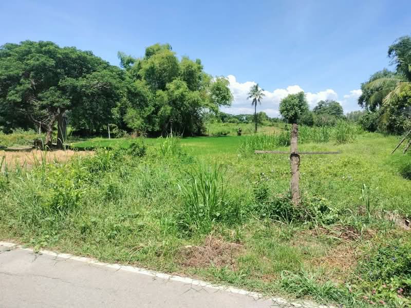 ที่ดินพรหมพิราม พิษณุโลก, Phitsanulok, Tha Chang, Phrom Phiram, Phitsanulok, , 560 sqm, Land For Sale, by The Best Property Agent ณิชา, 500400796 - DDproperty.com