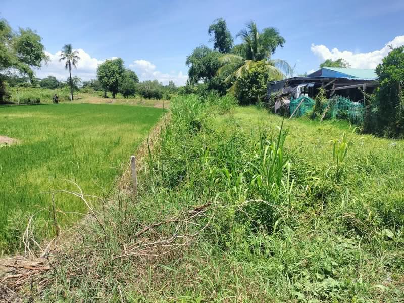 ที่ดินพรหมพิราม พิษณุโลก, Phitsanulok, Tha Chang, Phrom Phiram, Phitsanulok, , 560 sqm, Land For Sale, by The Best Property Agent ณิชา, 500400796 - DDproperty.com
