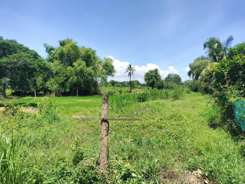 ที่ดินพรหมพิราม พิษณุโลก, Phitsanulok, Tha Chang, Phrom Phiram, Phitsanulok, , 560 sqm, Land For Sale, by The Best Property Agent ณิชา, 500400796 - DDproperty.com