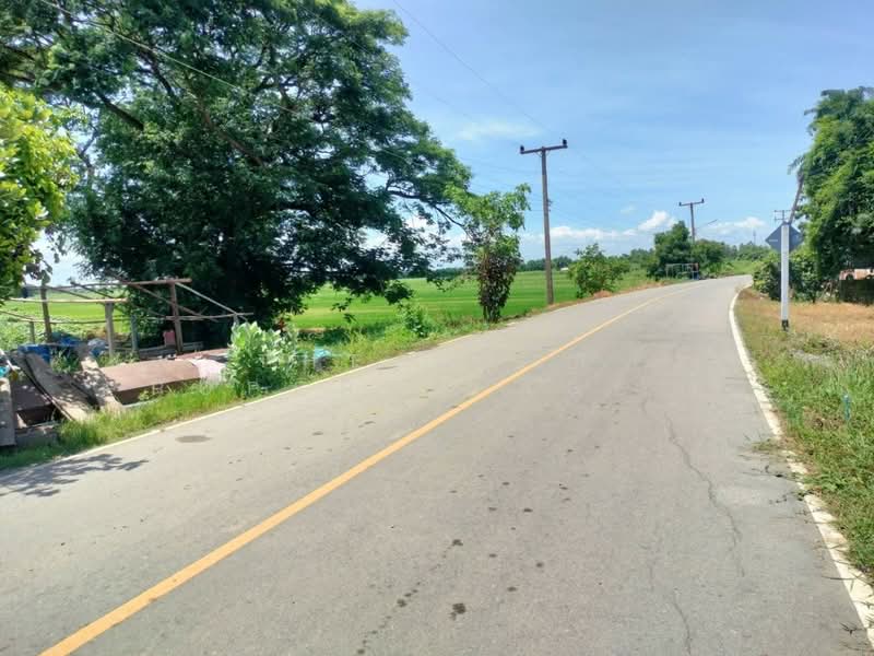 ที่ดินพรหมพิราม พิษณุโลก, Phitsanulok, Tha Chang, Phrom Phiram, Phitsanulok, , 560 sqm, Land For Sale, by The Best Property Agent ณิชา, 500400796 - DDproperty.com