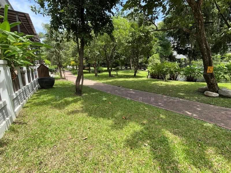 บ้านวิวไม้, กรุงเทพ, วิภาวดี 20, จอมพล, จตุจักร, กรุงเทพ, 350 ตร.ม., บ้านแฝด ให้เช่า, โดย ปรีชา จิตต์สมนึก, 500400820 - DDproperty.com