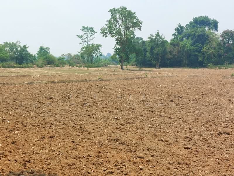 ที่ดินรัตนวาปี หนองคาย, Nong Khai, Na Thap Hai, Rattana Wapi, Nong Khai, , 32,548 sqm, Land For Sale, by The Best Property Agent เป้า, 500400870 - DDproperty.com