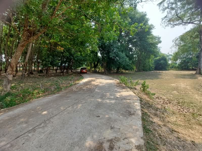 ที่ดินรัตนวาปี หนองคาย, หนองคาย, นาทับไฮ, รัตนวาปี, หนองคาย, 32,548 ตร.ม., ที่ดิน ขาย, โดย The Best Property Agent เป้า, 500400870 - DDproperty.com