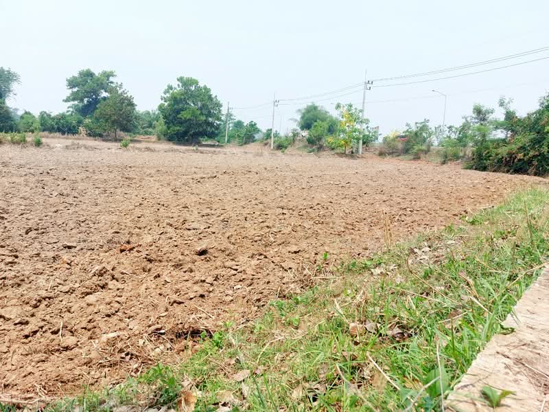 ที่ดินรัตนวาปี หนองคาย, Nong Khai, Na Thap Hai, Rattana Wapi, Nong Khai, , 32,548 sqm, Land For Sale, by The Best Property Agent เป้า, 500400870 - DDproperty.com