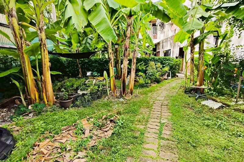ซอยงามวงศ์วาน 31, Nonthaburi, Bang Khen, Muang Nonthaburi, Nonthaburi, , 208 sqm, Land For Sale, by ชนะชาติ นนท์ตา, 500400908 - DDproperty.com