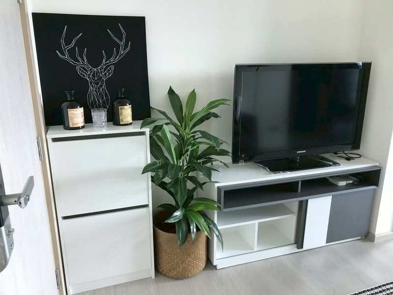 Rhythm Sukhumvit 36-38, Bangkok, 55 Soi Sukhumvit 36, Sukhumvit Road, Phra Kanong, Khlong Toei, Bangkok, 1 Bedroom, 34 sqm, Condo For Rent, by รัชกานต์ อัจฉริยะโพธา, 500400916 - DDproperty.com