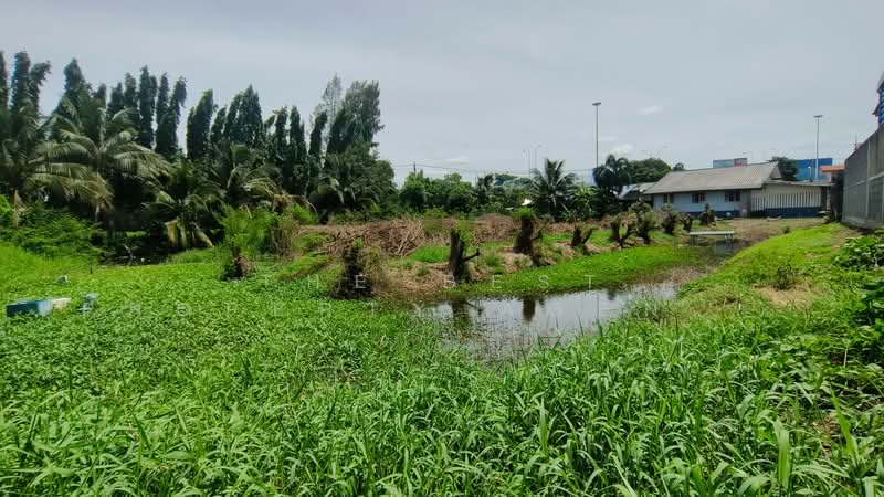 ที่ดินบางกรวย นนทบุรี, Nonthaburi, Bang Si Thong, Bang Kruai, Nonthaburi, , 4,669 sqm, Land For Sale, by The Best Property Agent ไข่, 500401281 - DDproperty.com