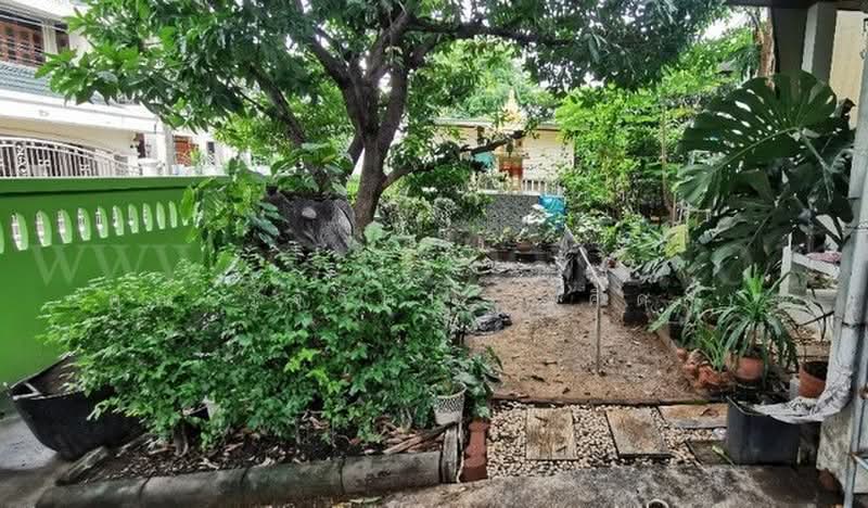 งามวงศ์วาน 43 แยก 7, กรุงเทพ, งามวงศ์วาน, ทุ่งสองห้อง, หลักสี่, กรุงเทพ, 220 ตร.ม., บ้านเดี่ยว ขาย, โดย คุณ รุจิวัตน์ (คิดส์), 500401566 - DDproperty.com