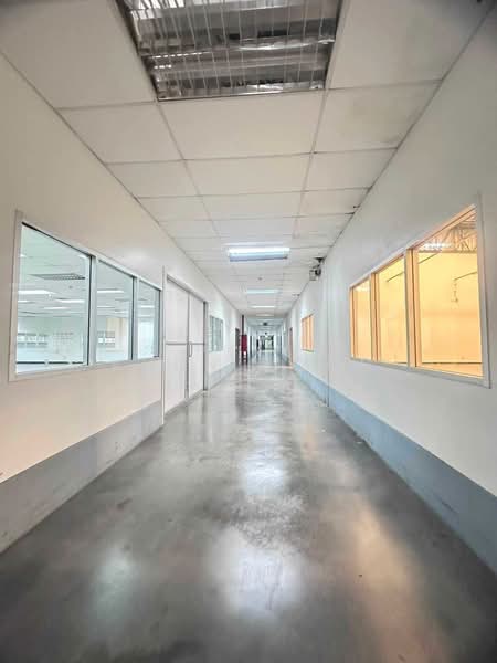 ขายโรงงานอุตสาหกรรม พื้นที่สีม่วง ทำเลลาดกระบัง (SPSSR288), กรุงเทพ, คลองสามประเวศ, ลาดกระบัง, กรุงเทพ, 6,700 ตร.ม., โกดัง-โรงงาน ขาย, โดย Khun Poon, 500401756 - DDproperty.com