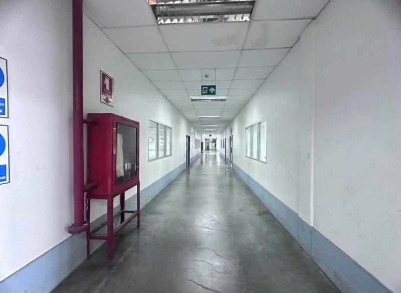ขายโรงงานอุตสาหกรรม พื้นที่สีม่วง ทำเลลาดกระบัง (SPSSR288), กรุงเทพ, คลองสามประเวศ, ลาดกระบัง, กรุงเทพ, 6,700 ตร.ม., โกดัง-โรงงาน ขาย, โดย Khun Poon, 500401756 - DDproperty.com