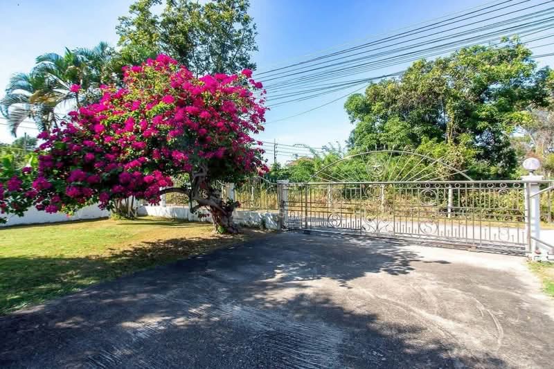 Huahin 114, Prachuap Khiri Khan, Nong Kae, Hua Hin, Prachuap Khiri Khan, 5 Bedrooms, 300 sqm, Single Detached House For Sale, by Wanwisa Scopetta, 500401807 - DDproperty.com