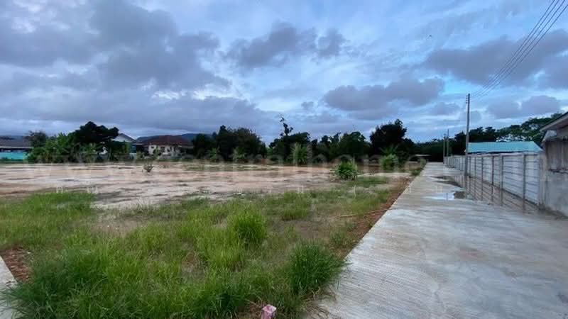 สายบ้านตะพงนอก-บ้านยายดา, ระยอง, สายบ้านตะพงนอก-บ้านยายดา, ตะพง, เมืองระยอง, ระยอง, 580 ตร.ม., ที่ดิน ขาย, โดย คณ อัษธรรม ( อัษ ), 500401928 - DDproperty.com