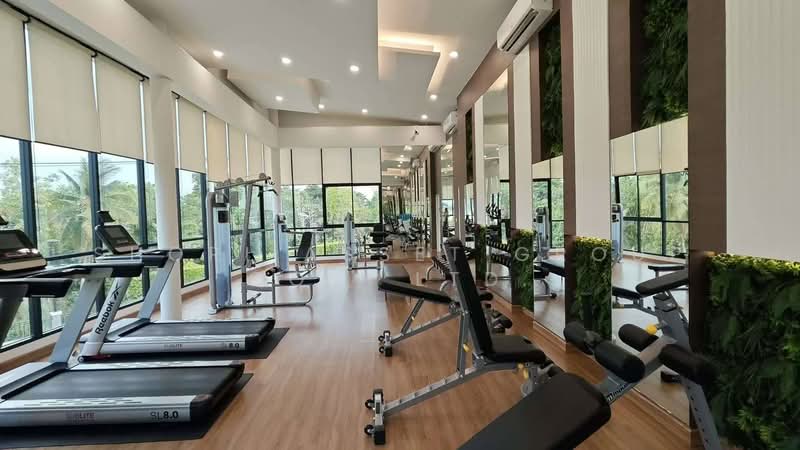 Supalai Grand Ville Sankamphaeng, Chiang Mai, San Kamphaeng Sai Kao Road, San Klang, San Kamphaeng, Chiang Mai, 4 Bedrooms, 208 sqm, Single Detached House For Rent, by Shori Asset Group Co., Ltd., 500402234 - DDproperty.com