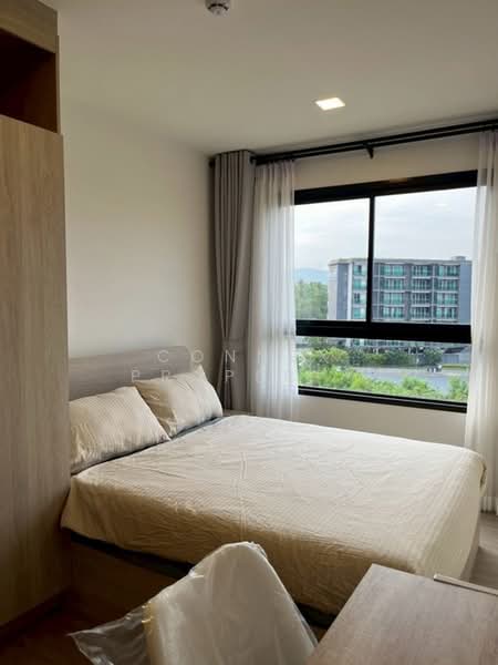 The Base Bukit Phuket, Phuket, 12 Vichitsongkram Rd, Wichit, Muang Phuket, Phuket, 1 Bedroom, 30 sqm, Condo For Rent, by Connex Property, 500402257 - DDproperty.com
