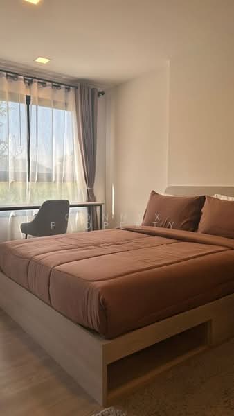 The Base Bukit Phuket, Phuket, 12 Vichitsongkram Rd, Wichit, Muang Phuket, Phuket, 1 Bedroom, 26 sqm, Condo For Rent, by Connex Property, 500402294 - DDproperty.com