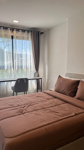 The Base Bukit Phuket, Phuket, 12 Vichitsongkram Rd, Wichit, Muang Phuket, Phuket, 1 Bedroom, 26 sqm, Condo For Rent, by Connex Property, 500402294 - DDproperty.com