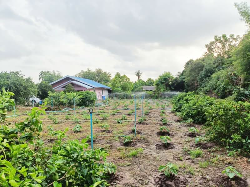 บ้านเดี่ยวพร้อมที่ดินบ้านยาง นครปฐม, Nakhon Pathom, Ban Yang, Muang Nakhon Pathom, Nakhon Pathom, 1 Bedroom, 200 sqm, Single Detached House For Sale, by The Best Property เก๋เก๋, 500402596 - DDproperty.com