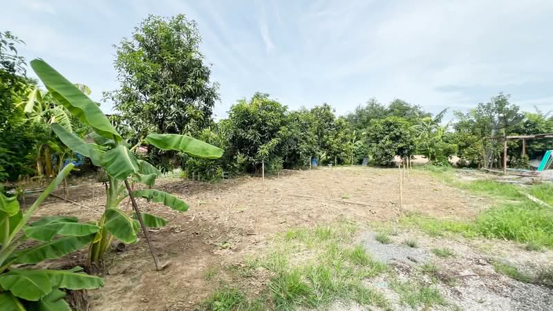 บ้านเดี่ยวพร้อมที่ดินบ้านยาง นครปฐม, Nakhon Pathom, Ban Yang, Muang Nakhon Pathom, Nakhon Pathom, 1 Bedroom, 200 sqm, Single Detached House For Sale, by The Best Property เก๋เก๋, 500402596 - DDproperty.com