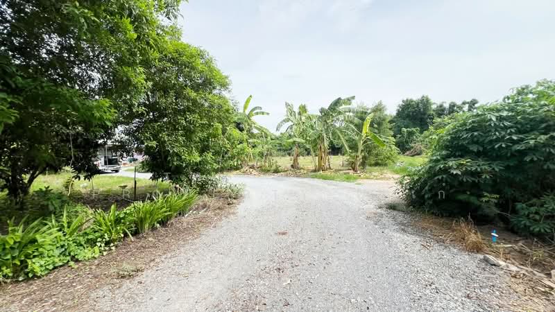 บ้านเดี่ยวพร้อมที่ดินบ้านยาง นครปฐม, Nakhon Pathom, Ban Yang, Muang Nakhon Pathom, Nakhon Pathom, 1 Bedroom, 200 sqm, Single Detached House For Sale, by The Best Property เก๋เก๋, 500402596 - DDproperty.com
