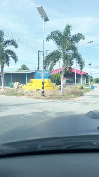 บ้านเดี่ยวพร้อมที่ดินบ้านยาง นครปฐม, Nakhon Pathom, Ban Yang, Muang Nakhon Pathom, Nakhon Pathom, 1 Bedroom, 200 sqm, Single Detached House For Sale, by The Best Property เก๋เก๋, 500402596 - DDproperty.com