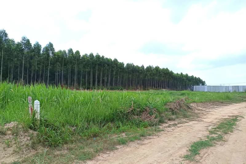 ที่ดินบ้านบึง ชลบุรี, Chon Buri (Pattaya), Nong Phai Kaeo, Ban Bung, Chon Buri (Pattaya), , 1,600 sqm, Land For Sale, by The Best Property แบงค์, 500402872 - DDproperty.com