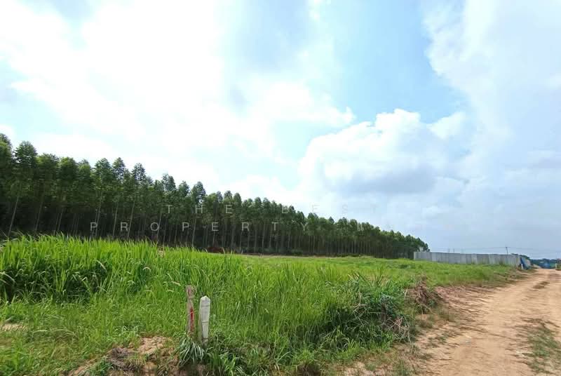 ที่ดินบ้านบึง ชลบุรี, Chon Buri (Pattaya), Nong Phai Kaeo, Ban Bung, Chon Buri (Pattaya), , 1,600 sqm, Land For Sale, by The Best Property แบงค์, 500402872 - DDproperty.com