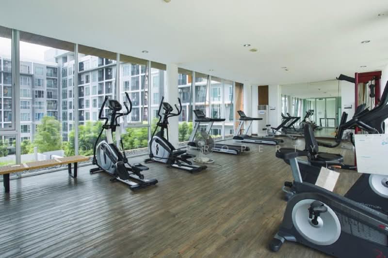 Serrano Condominium, Bangkok, Rama 2 Road, Samae Dam, Bang Khun Thian, Bangkok, 1 Bedroom, 32 sqm, Condo For Rent, by Connex Property, 500402899 - DDproperty.com