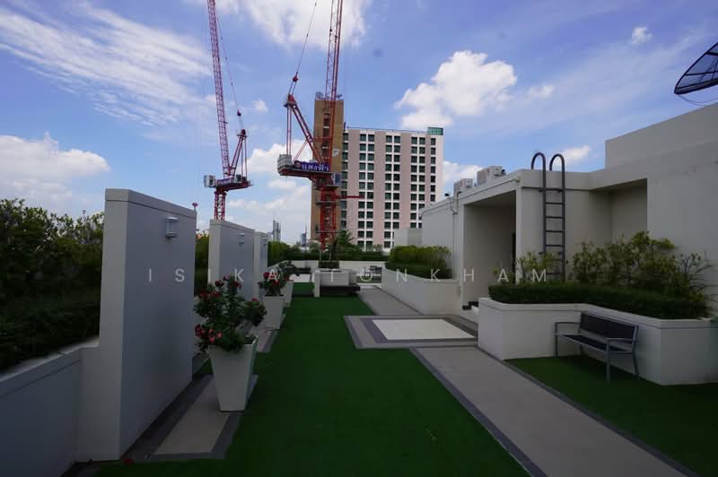 Maestro 12 Ratchathewi, Bangkok, 368 Phetchaburi Road, Thung Phaya Thai, Ratchathewi, Bangkok, 1 Bedroom, 28 sqm, Condo For Rent, by Isika Tonkham, 500402931 - DDproperty.com