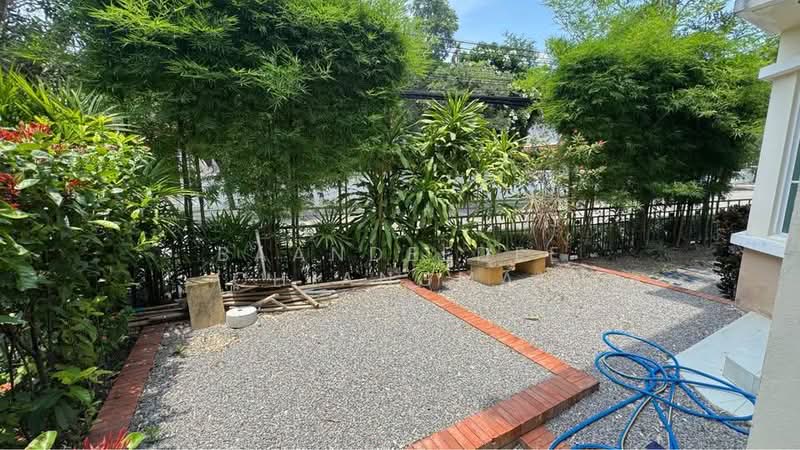 A house for rent near Big C Mae Hia, Chiang Mai Rental Price: 25,000THB/month Property ID: No.3H145, Chiang Mai, Su Thep, Muang Chiang Mai, Chiang Mai, 3 Bedrooms, 150 sqm, Single Detached House For Rent, by Baandeedee Chiangmai, 500403024 - DDproperty.com