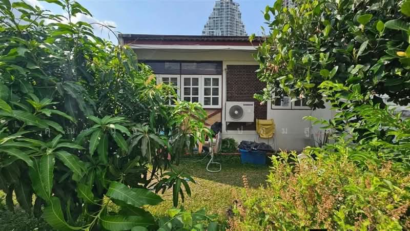 บ้านเดี่ยว ตรงข้ามปั้ม ปตท.นนทบุรี ซอยกรุงเทพนนท์14, นนทบุรี, ถนนนครอินทร์, บางเขน, เมืองนนทบุรี, นนทบุรี, 150 ตร.ม., บ้านเดี่ยว ขาย, โดย คุณ นุชนาฏ ปทุมสูตร (จ๋า), 500403036 - DDproperty.com