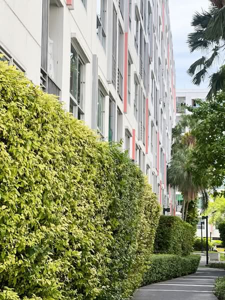 The Niche ID Rama 2, Bangkok, Rama 2 Road, Bangmot, Chom Thong, Bangkok, 1 Bedroom, 33 sqm, Condo For Sale, by The Best Property รัตน์, 500403044 - DDproperty.com