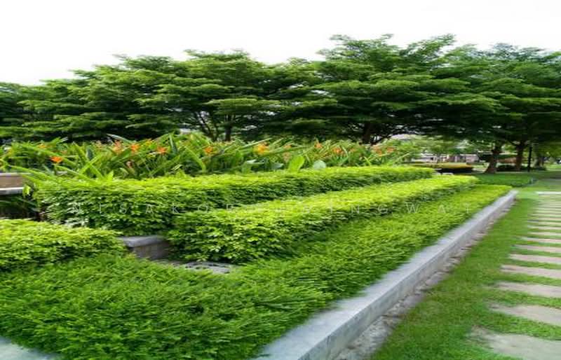 Plus City Park Srinakarin-Suanluang : พลัส ซิตี้ พาร์ค ศรีนครินทร์-สวนหลวง, กรุงเทพ, ถนนเฉลิมพระเกียรติ ร.9, หนองบอน, ประเวศ, กรุงเทพ, 260 ตร.ม., ทาวน์เฮ้าส์ ขาย, โดย Nisakorn Wingwat, 500403141 - DDproperty.com