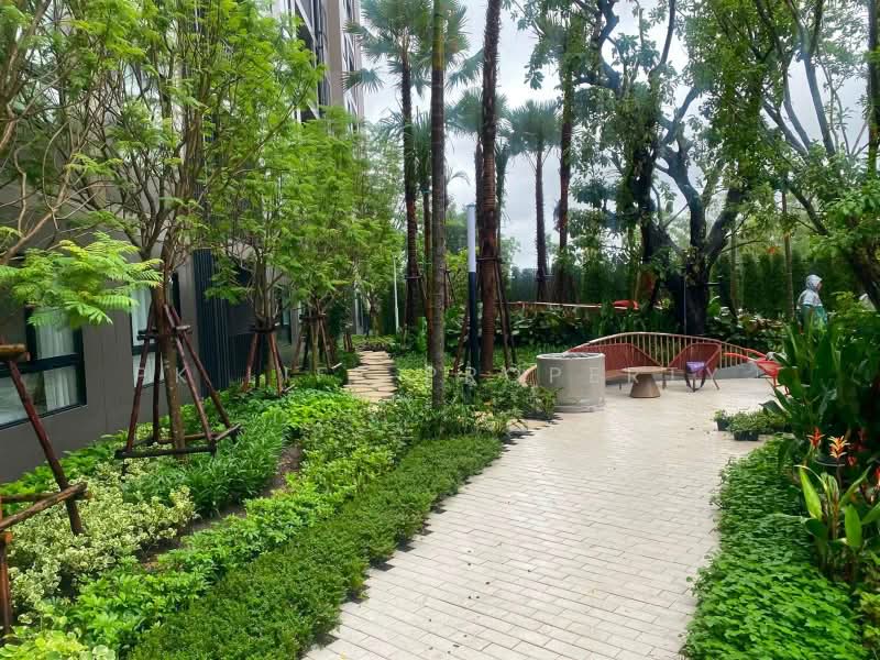 THE Base Cherngtalay, Phuket, Choeng Thale, Thalang, Phuket, 1 Bedroom, 30 sqm, Condo For Rent, by PK LIFE Property, 500403160 - DDproperty.com