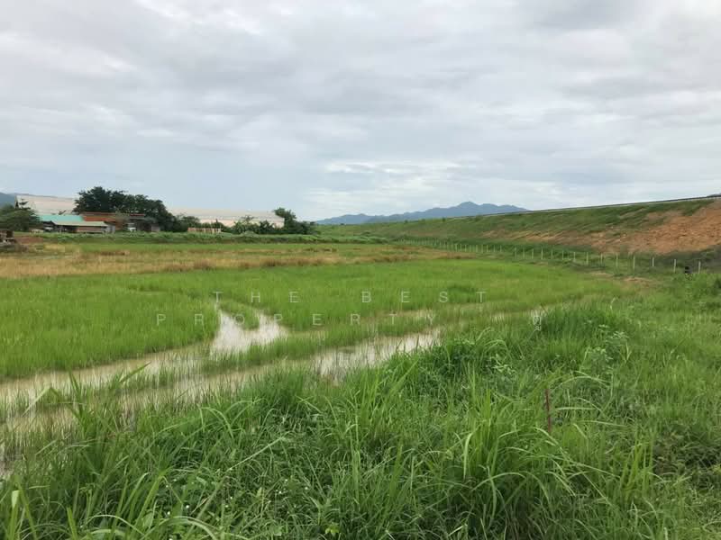 ที่ดินเด่นชัย แพร่, Phrae, Pong Pa Wai, Den Chai, Phrae, , 2,668 sqm, Land For Sale, by The Best Property ตู่, 500403220 - DDproperty.com