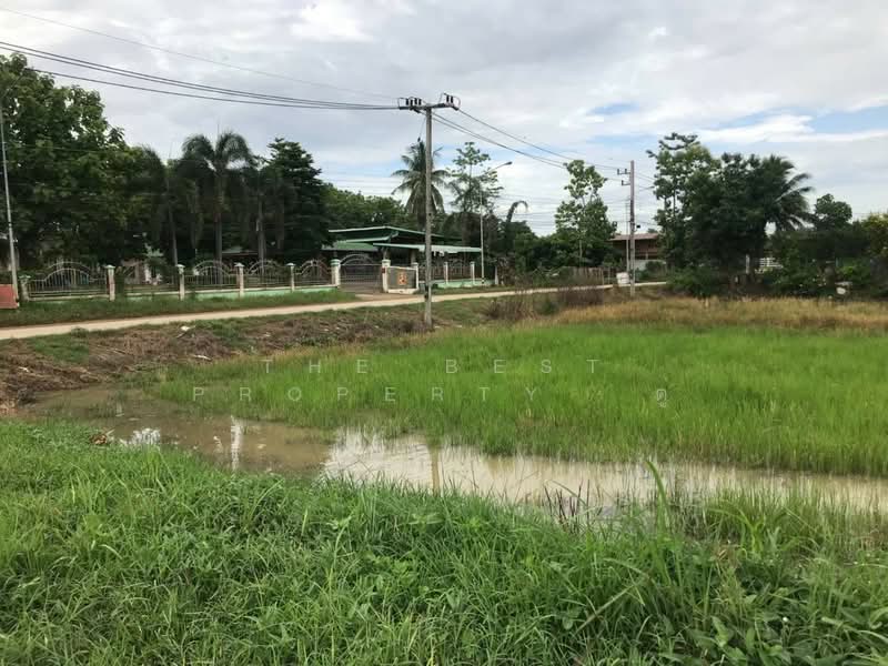 ที่ดินเด่นชัย แพร่, Phrae, Pong Pa Wai, Den Chai, Phrae, , 2,668 sqm, Land For Sale, by The Best Property ตู่, 500403220 - DDproperty.com