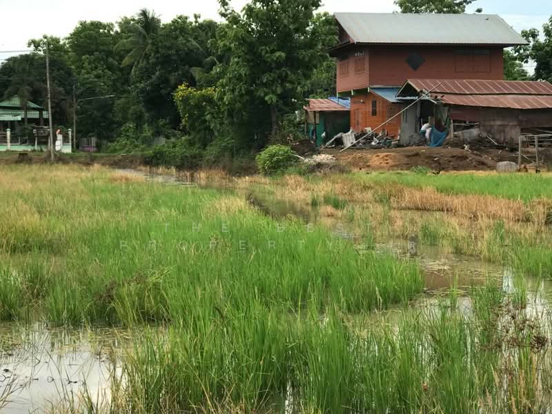 ที่ดินเด่นชัย แพร่, Phrae, Pong Pa Wai, Den Chai, Phrae, , 2,668 sqm, Land For Sale, by The Best Property ตู่, 500403220 - DDproperty.com