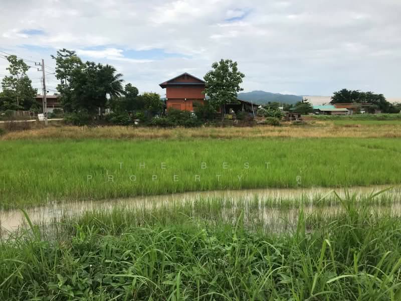 ที่ดินเด่นชัย แพร่, แพร่, ปงป่าหวาย, เด่นชัย, แพร่, 2,668 ตร.ม., ที่ดิน ขาย, โดย The Best Property  ตู่, 500403220 - DDproperty.com
