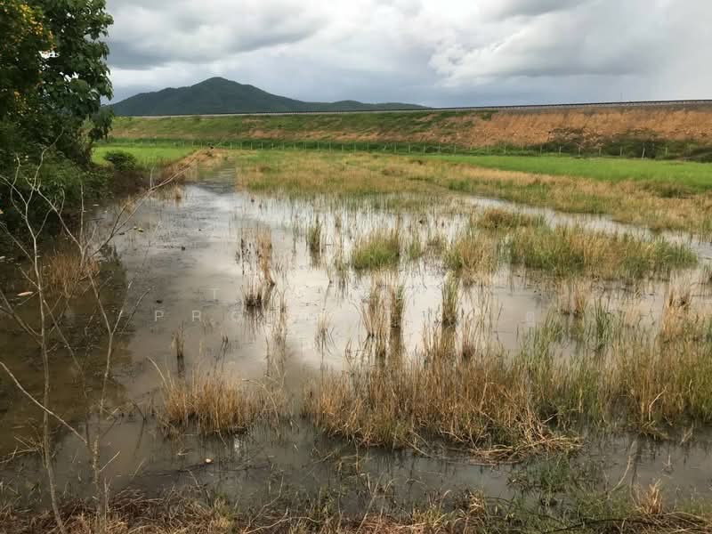 ที่ดินเด่นชัย แพร่, Phrae, Pong Pa Wai, Den Chai, Phrae, , 2,668 sqm, Land For Sale, by The Best Property ตู่, 500403220 - DDproperty.com