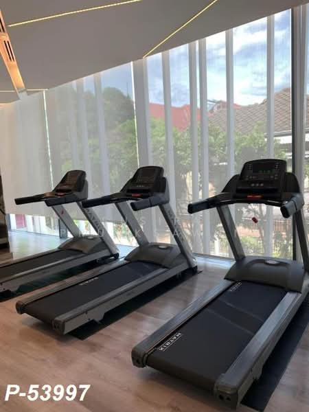 IKON Sukhumvit 77, Bangkok, 182 Sukhumvit Road 77, Suan Luang, Bangkok, 1 Bedroom, 31 sqm, Condo For Rent, by Susira Prueksawun, 500403241 - DDproperty.com