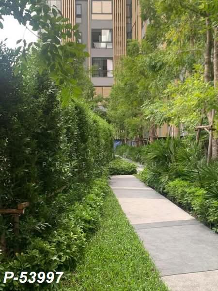 IKON Sukhumvit 77, Bangkok, 182 Sukhumvit Road 77, Suan Luang, Bangkok, 1 Bedroom, 31 sqm, Condo For Rent, by Susira Prueksawun, 500403241 - DDproperty.com
